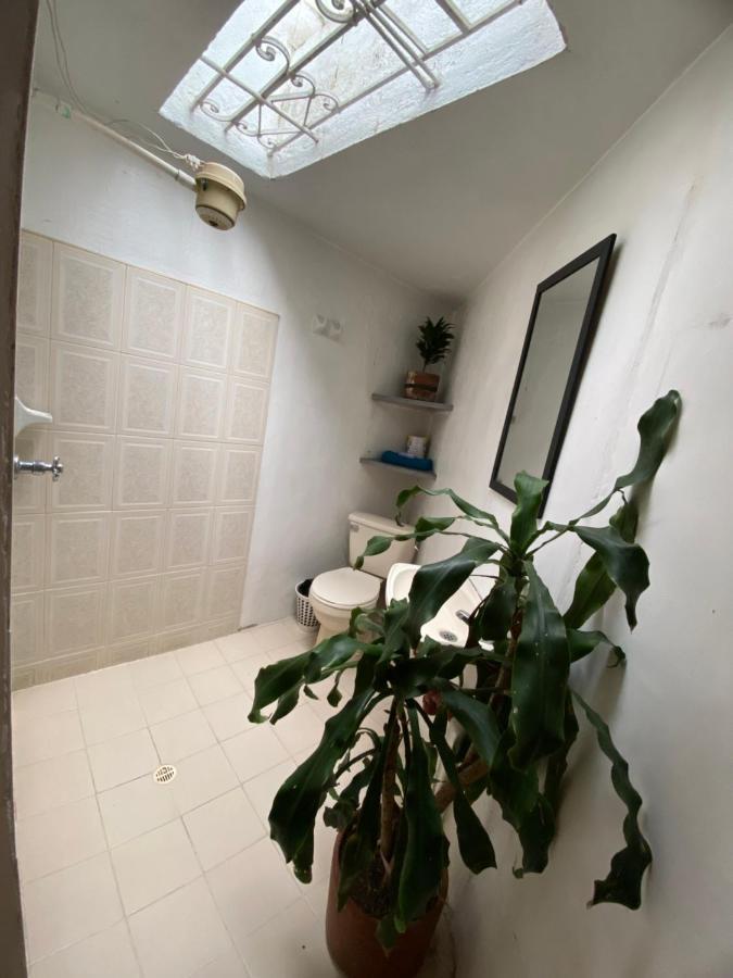 Hostal Casa Las Tias Medellín Exteriér fotografie